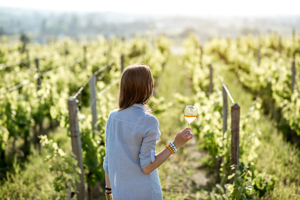 Bordeaux Vineyards