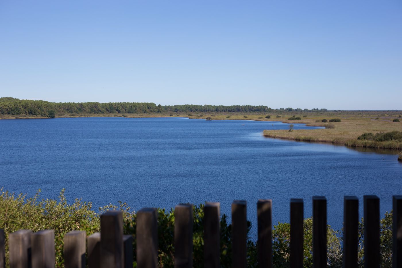 Etang de Cousseau 