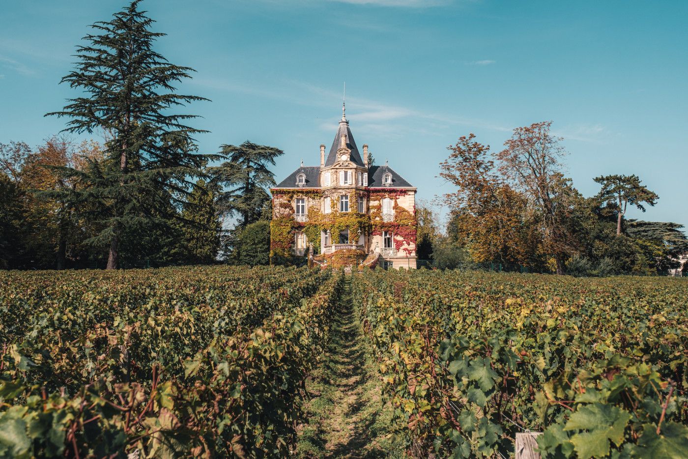 Château Les Carmes Haut Brion, découvrir vignoble sans voiture - Teddy Verneuil 