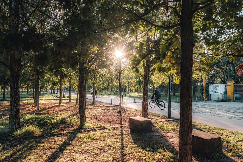 Bordeaux en fauteuil roulant