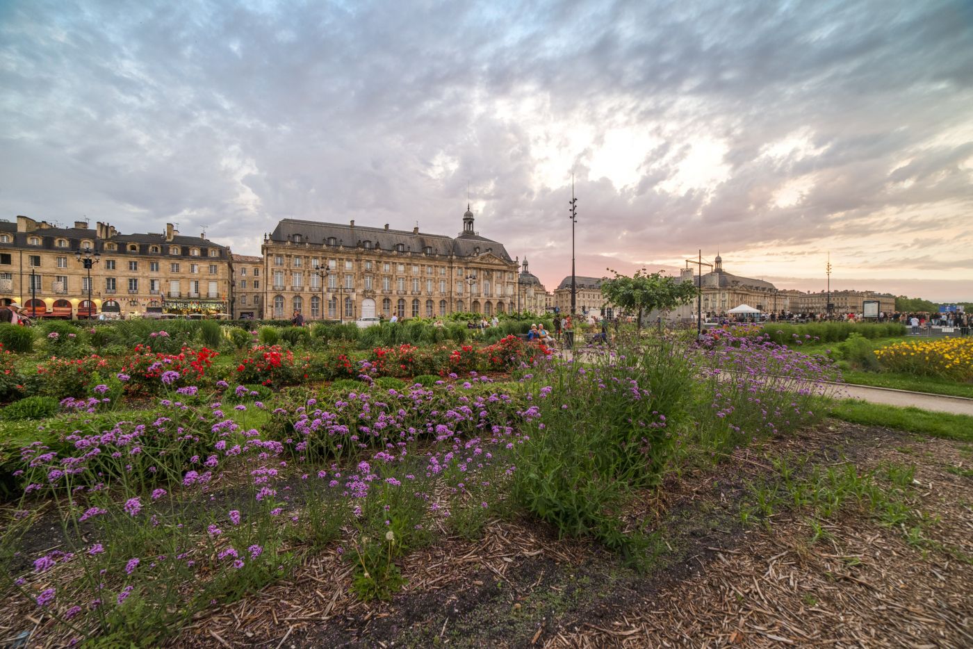 Jardin des Lumières ©Vincent Bengold