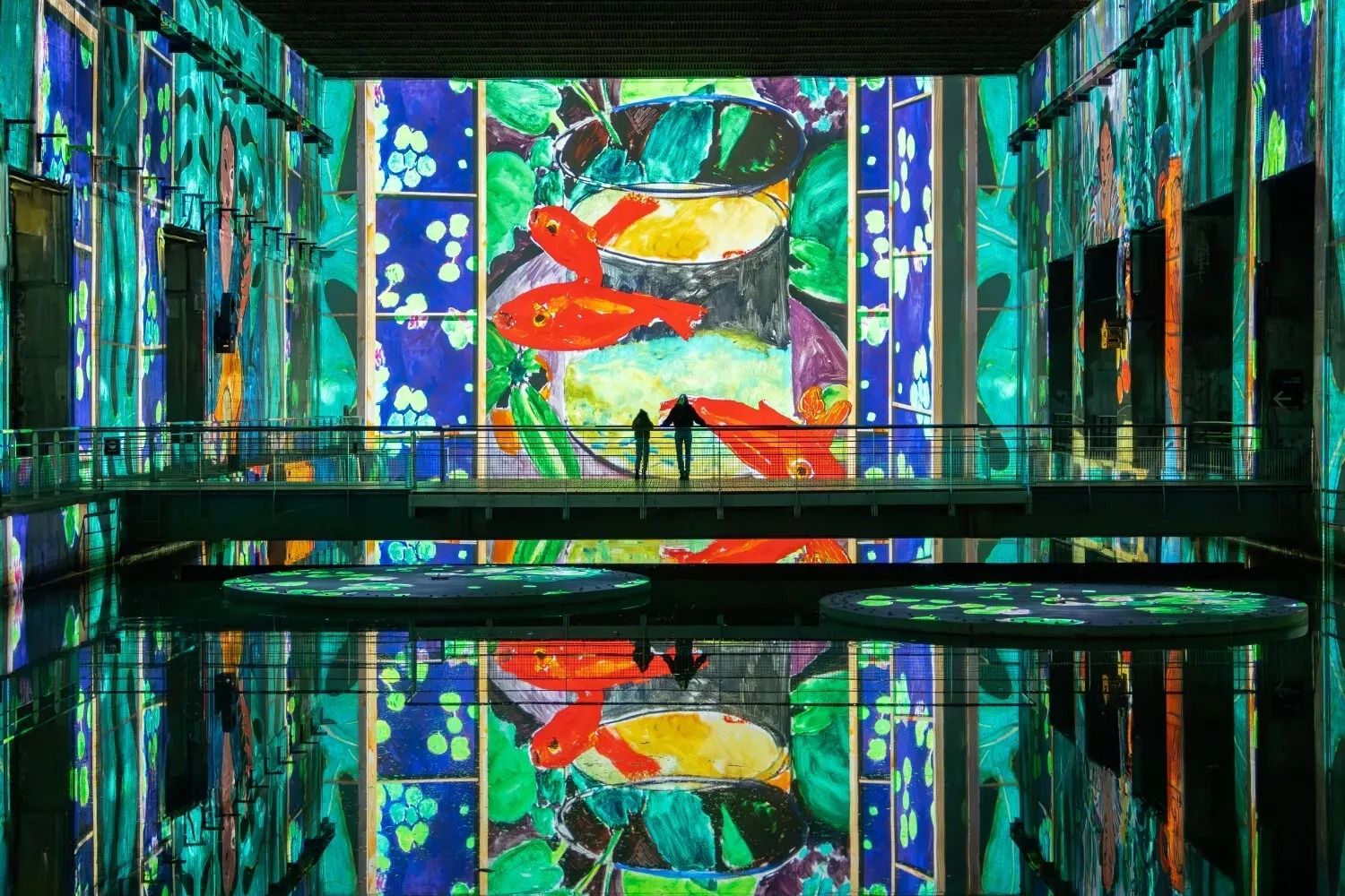 Matisse aux Bassins des Lumières