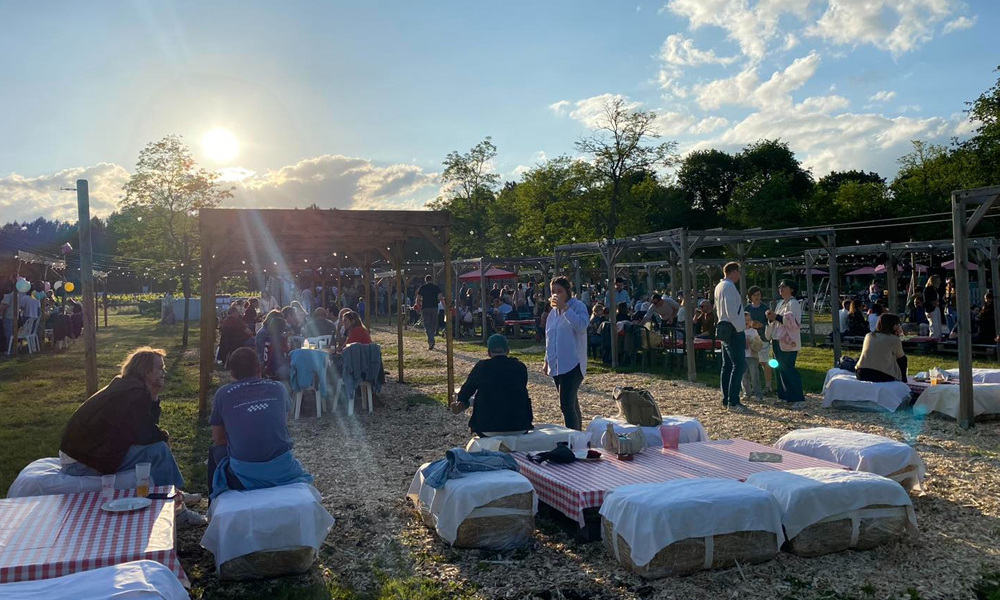 guinguettes dans le vignoble bordeaux