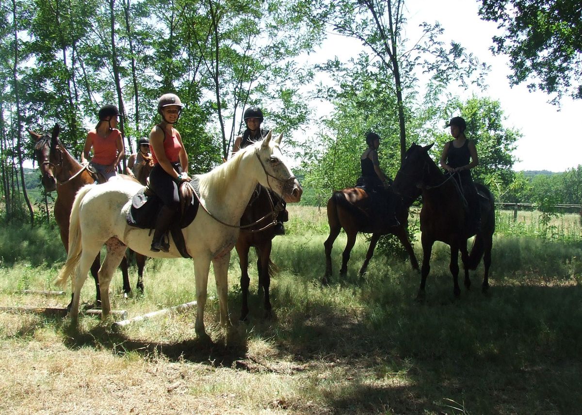 Balade à cheval autour de Bordeaux