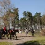 Cette photo met en avant une balade équestre sur le site des Bois des sources du Peugue
