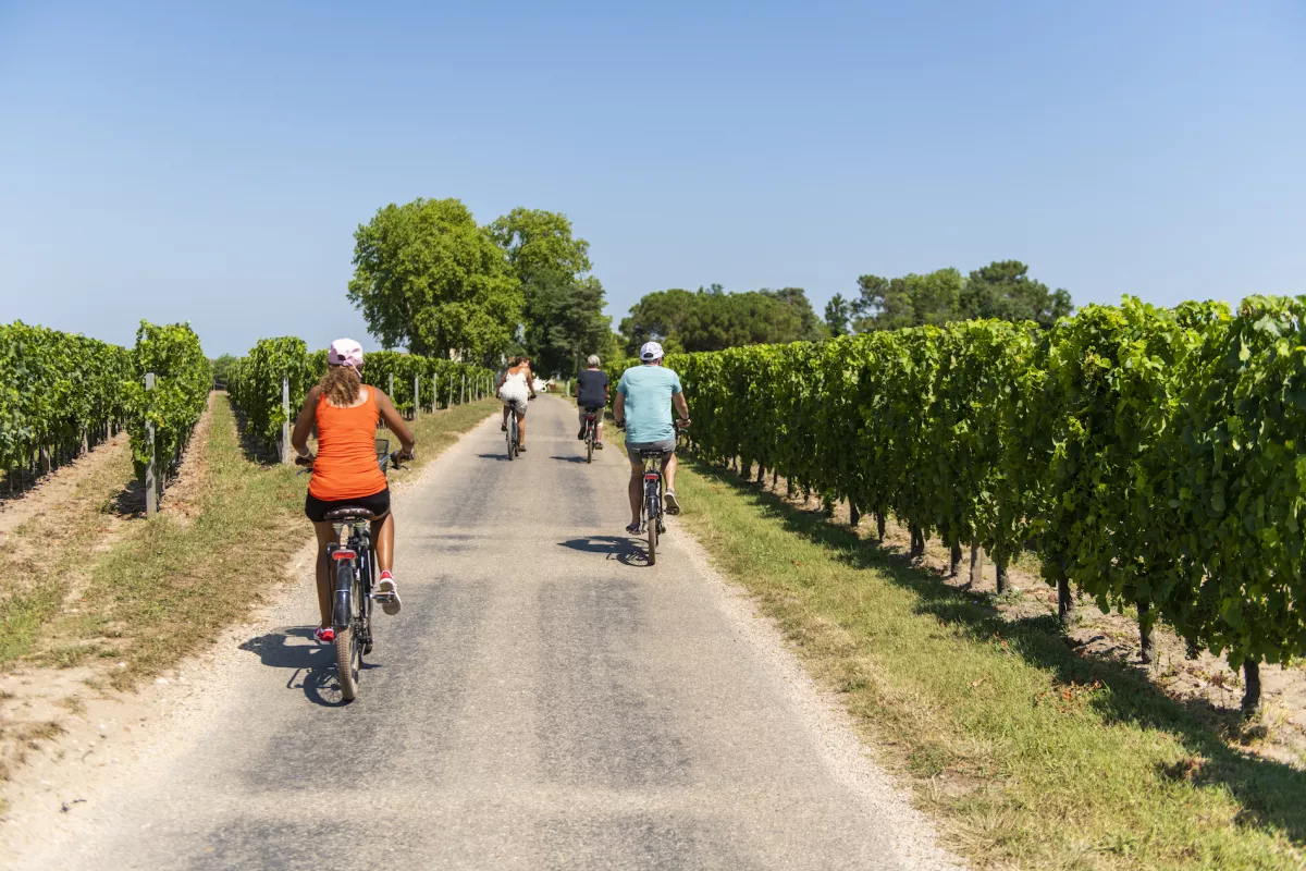 Visiter le vignoble à Bordeaux à vélo, sans voiture 