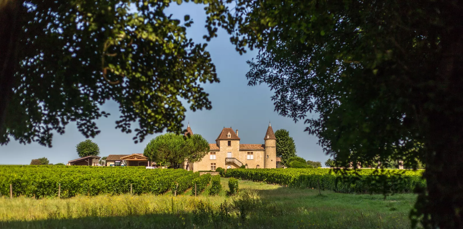 découvrir le vignoble de Bordeaux sans voiture