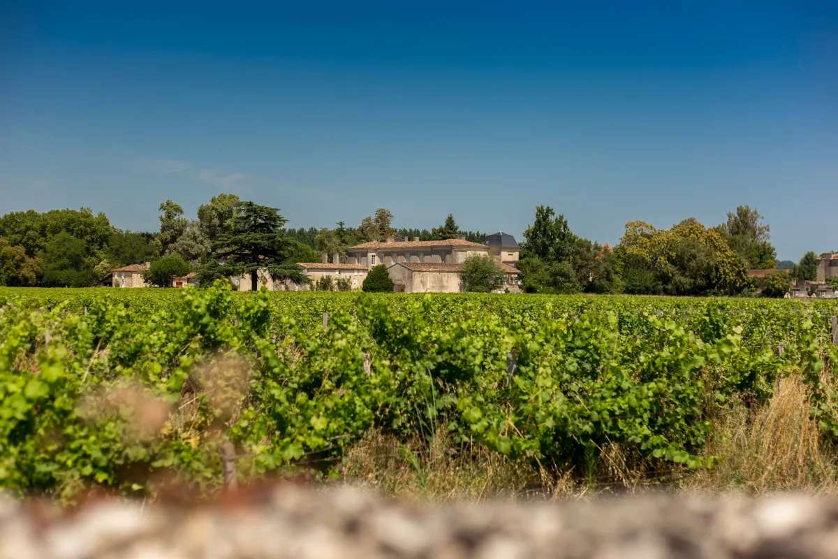 visiter le vignoble près de Bordeaux sans voiture