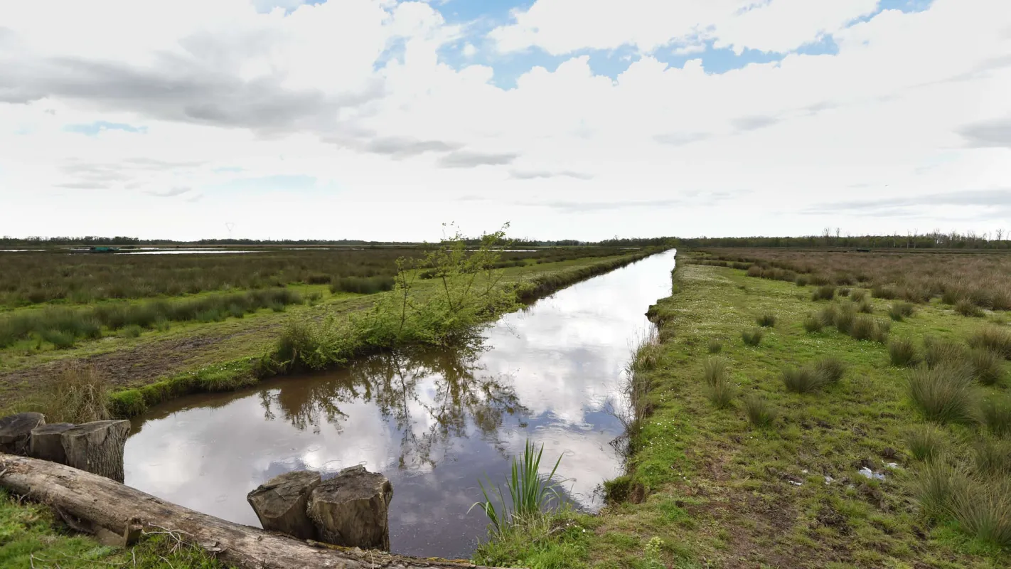 Marais de Montferrand