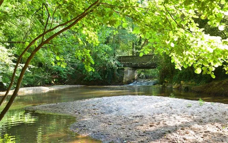 Ouest-Atlantique-Bords-de-Jalle-a-Martignas-sur-Jalle