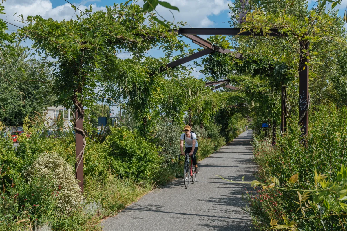 Parc aux Angéliques