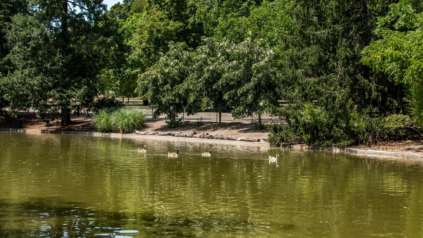 Parc bordelais