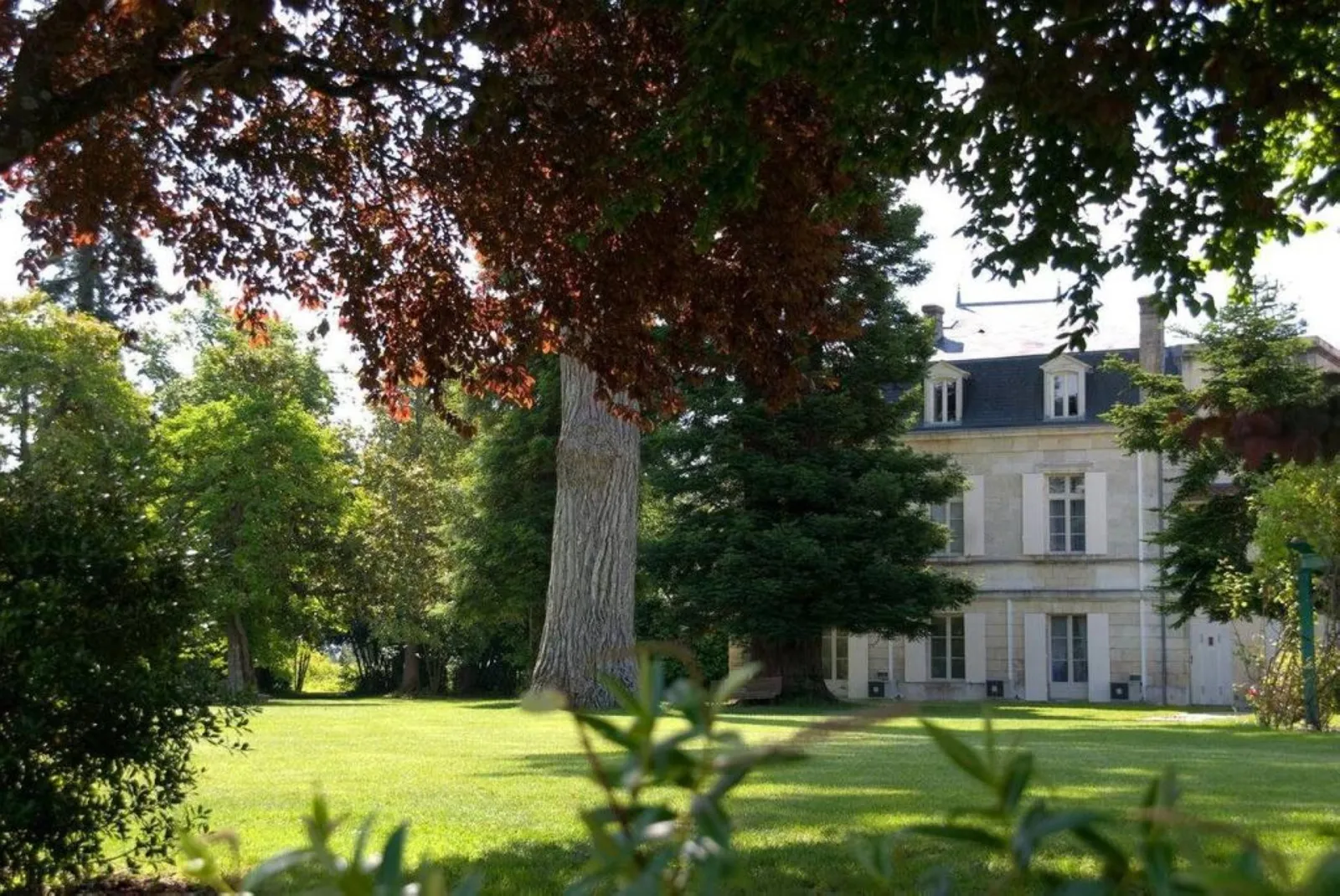 19th-century white mansion with mansard roof surrounded by lush green lawn and ancient trees in Bordeaux.