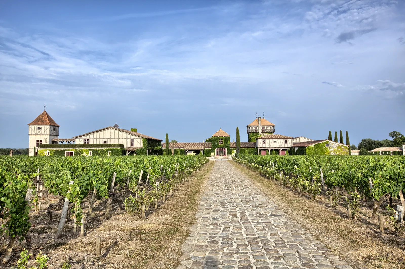 Panoramic view of Château Smith Haut Lafitte in Bordeaux featuring historic buildings with golden roofs, surrounded by terraced vineyards and a central paved pathway under a blue sky.
