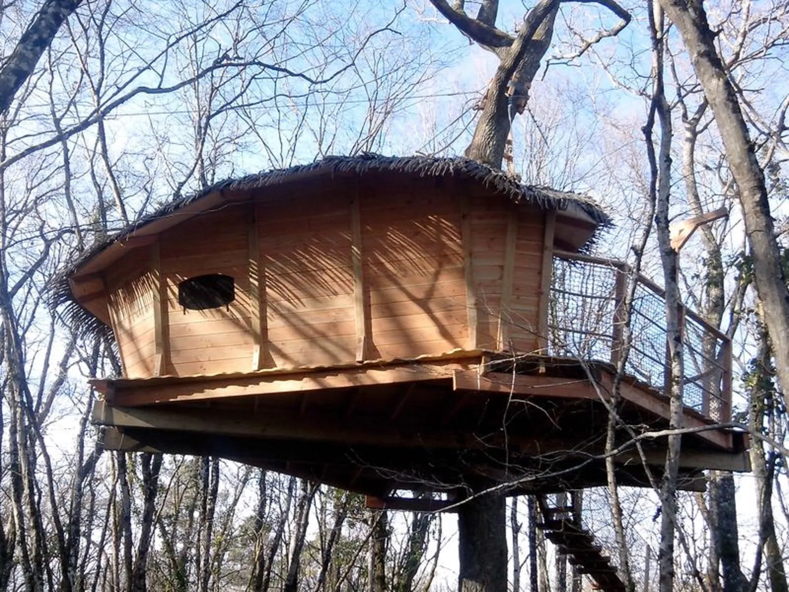 Wooden treehouse with thatched roof nestled among bare trees in Romaningue forest near Bordeaux