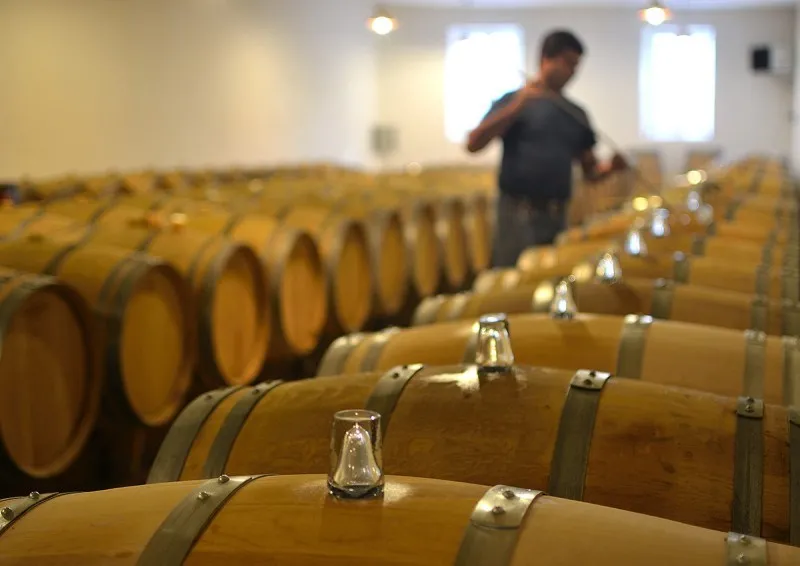 Rows of wooden barrels in the aging cellar of Château Climens in Bordeaux, with a winemaker in the background
