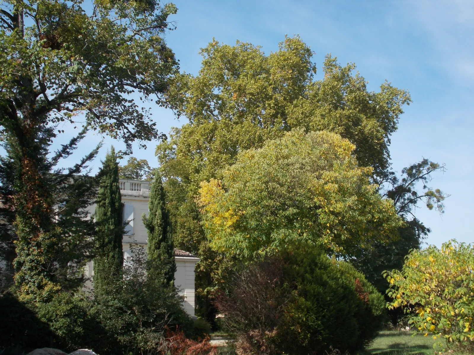 View of Château du Mayne La Merci in Bordeaux surrounded by lush vegetation and autumn trees