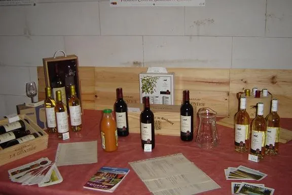 Wine tasting display from Château La Gontrie in Bordeaux featuring red and white wine bottles arranged on a red tablecloth with informational brochures and documents.