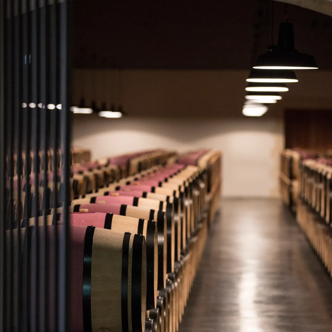 Rows of chairs with pink and beige cushions in a tasting room at Château Tronquoy in Bordeaux, illuminated by modern lighting fixtures.