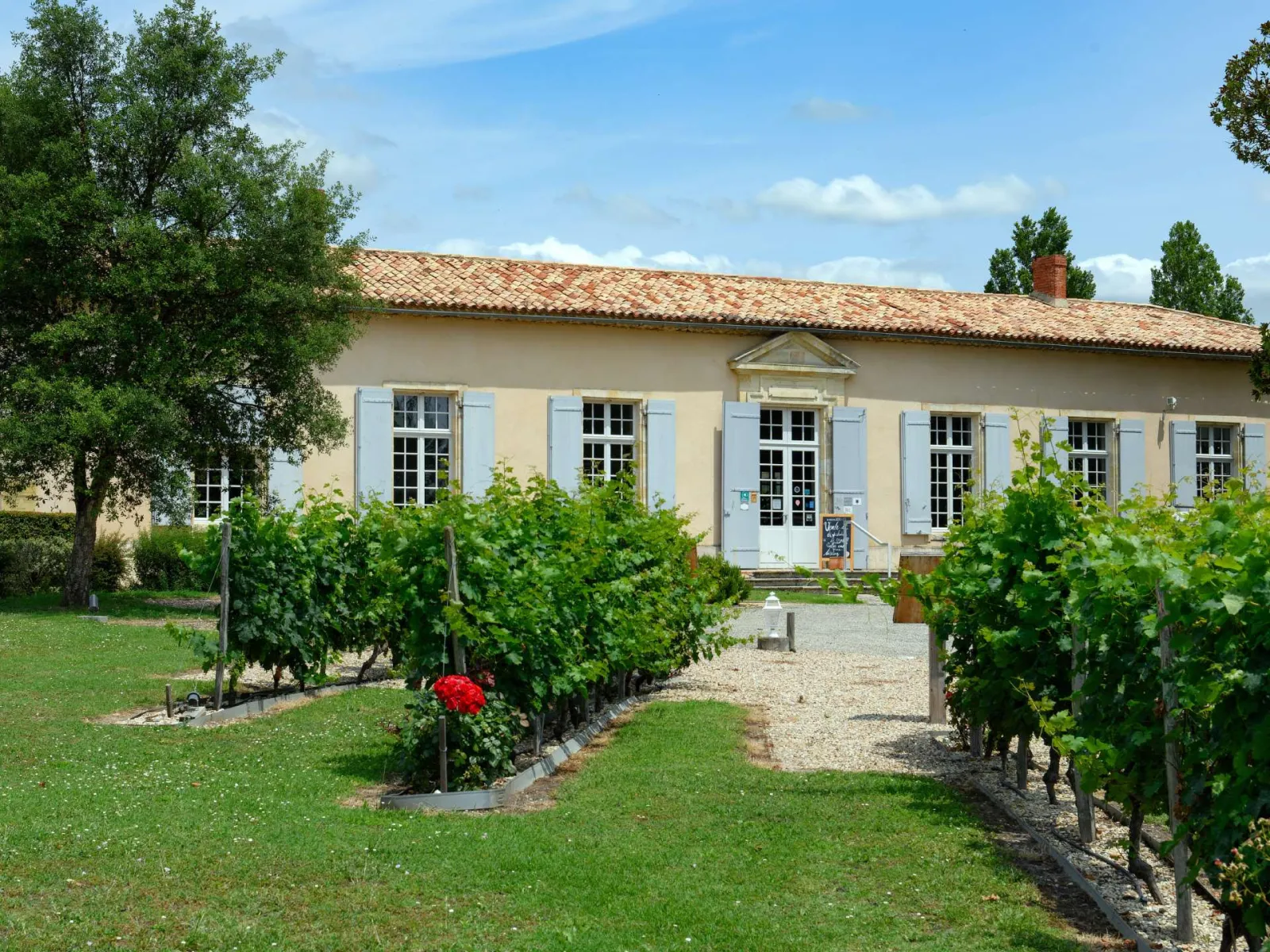 Cadillac Wine House in Bordeaux: beige building with blue shutters surrounded by vineyard rows and green gardens