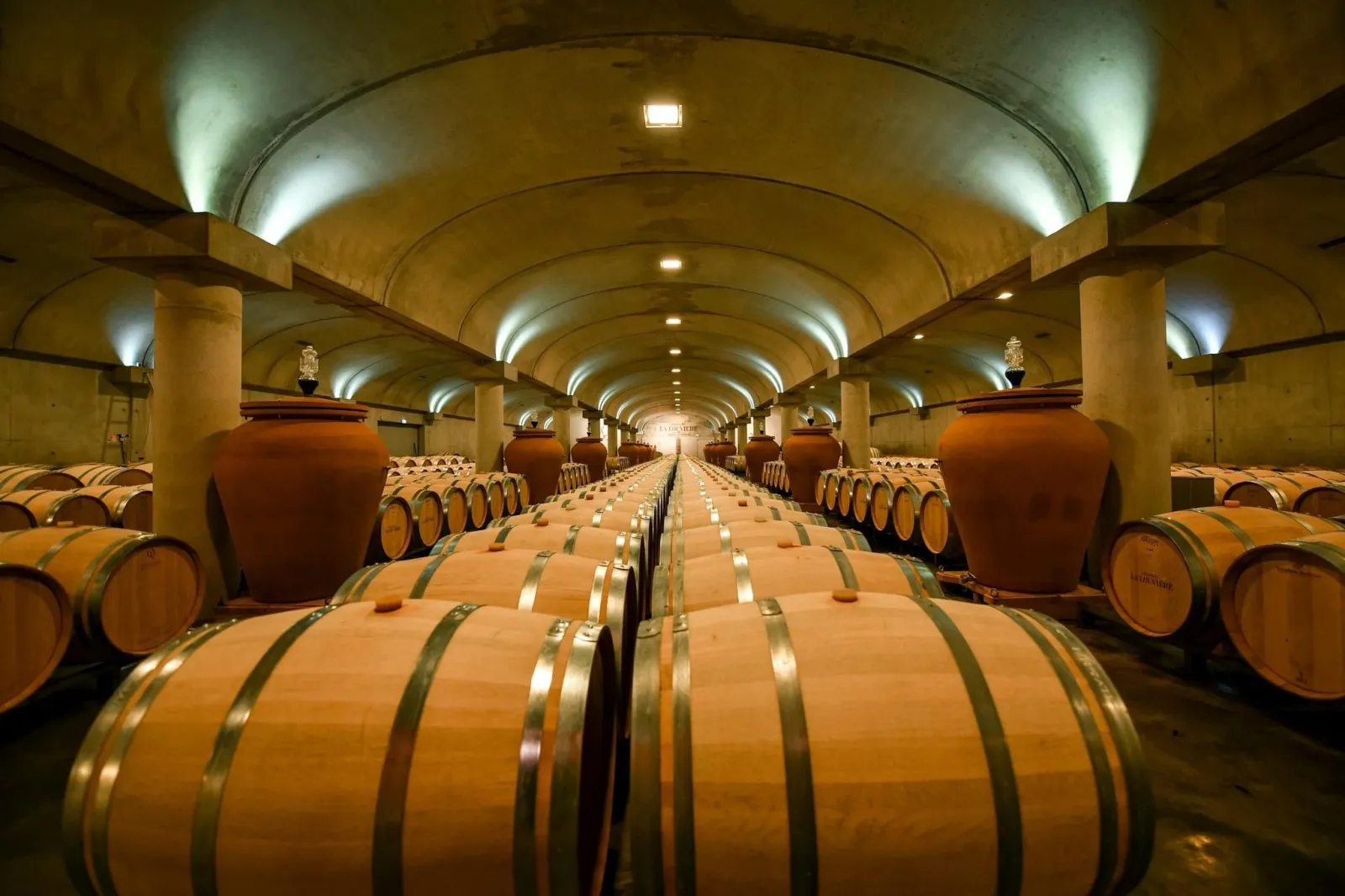 Underground aging cellar of Château La Louvière in Bordeaux, featuring rows of wooden oak barrels lined symmetrically beneath an arched illuminated ceiling.