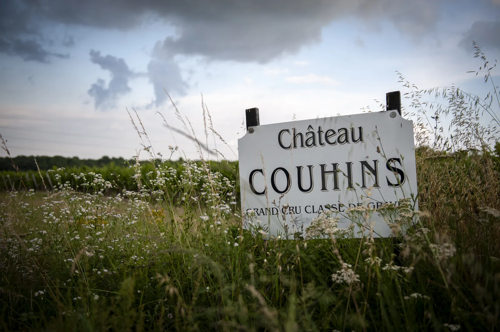 Château Couhins signboard, a Grand Cru Classé estate in Graves, Bordeaux, surrounded by vineyards and white wildflowers.