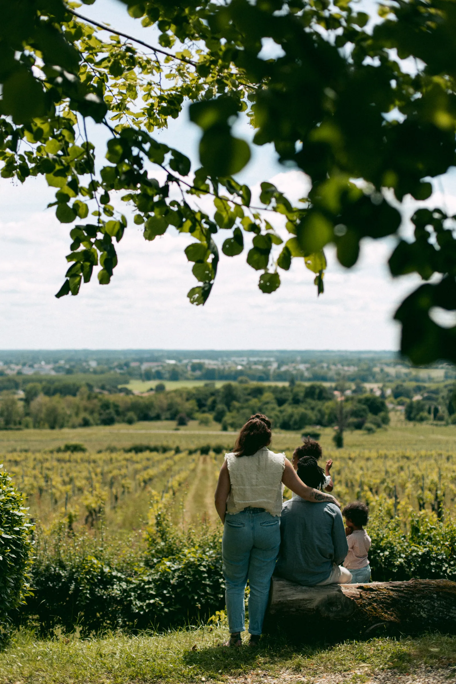 Three children sitting on a fallen tree trunk gazing at the vast Bordeaux vineyards landscape beneath green leafy branches at Malagar Estate.