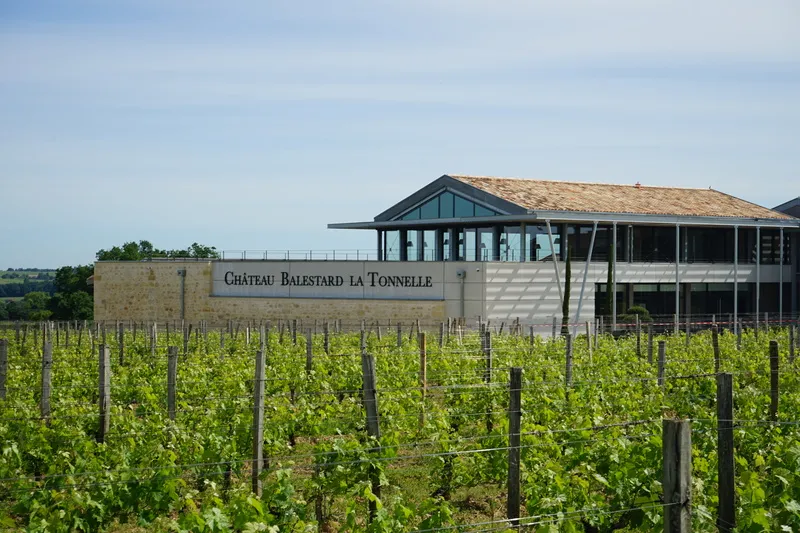 Château Balestard La Tonnelle in Bordeaux with vineyard rows in the foreground and modern winery building with glass windows