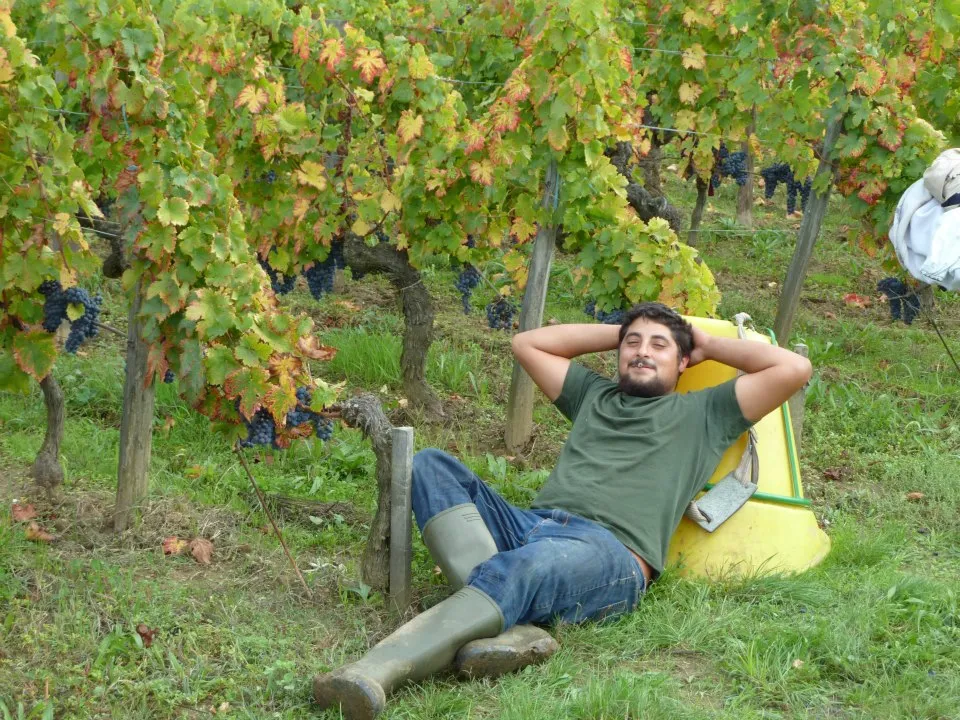 A man relaxes in a yellow chair among the vineyard rows in Bordeaux, with dark grape clusters and autumn foliage visible.