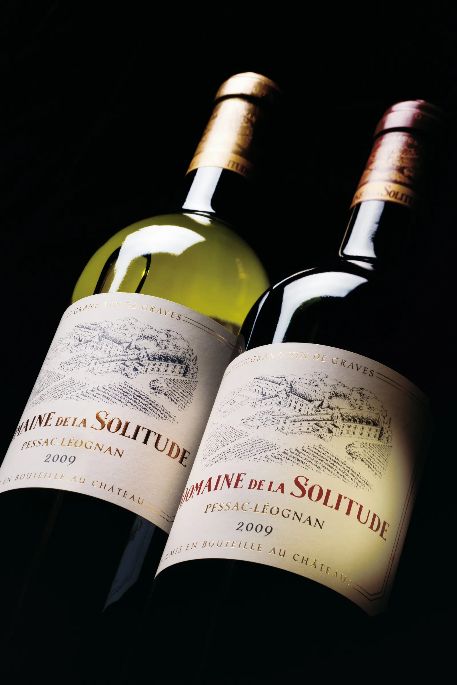 Two bottles of Domaine de la Solitude wine from Pessac-Léognan vintage 2000, one white and one red wine, photographed against a black background.