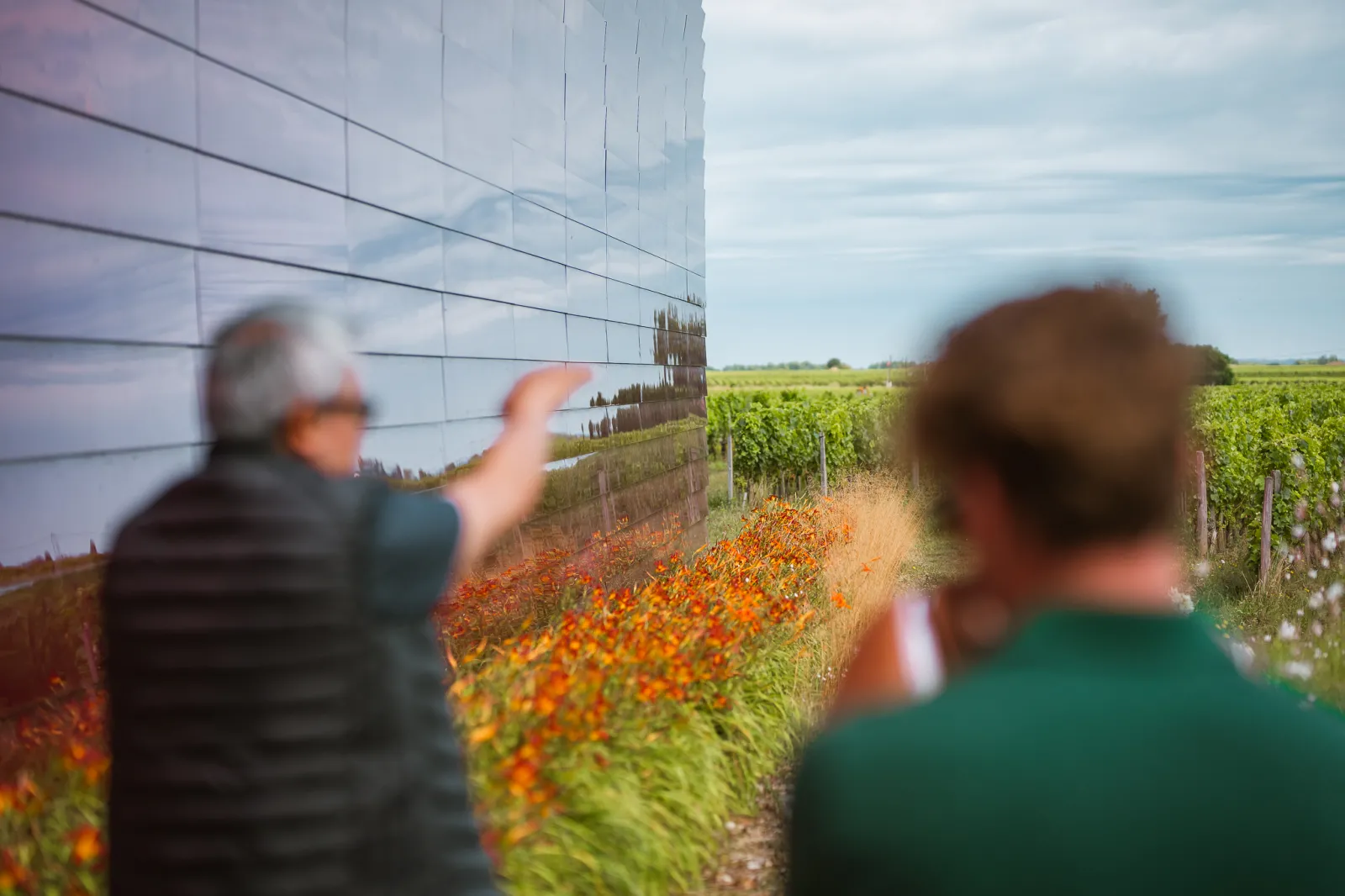 Two people viewing an information panel reflecting the vineyards of Château La Dominique near Bordeaux, with orange flowers in the foreground and vine rows extending to the horizon.