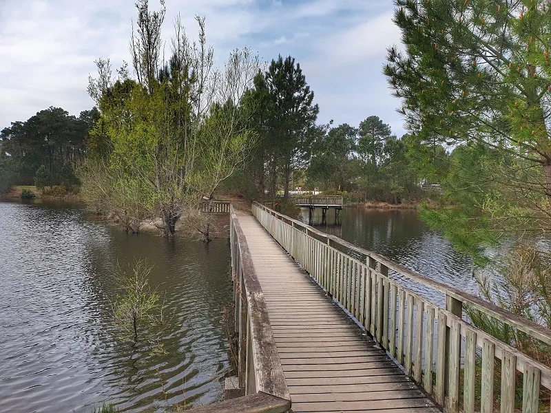Wooden boardwalk crossing a wetland area with trees and calm water in the Bois des Sources du Peugue near Bordeaux