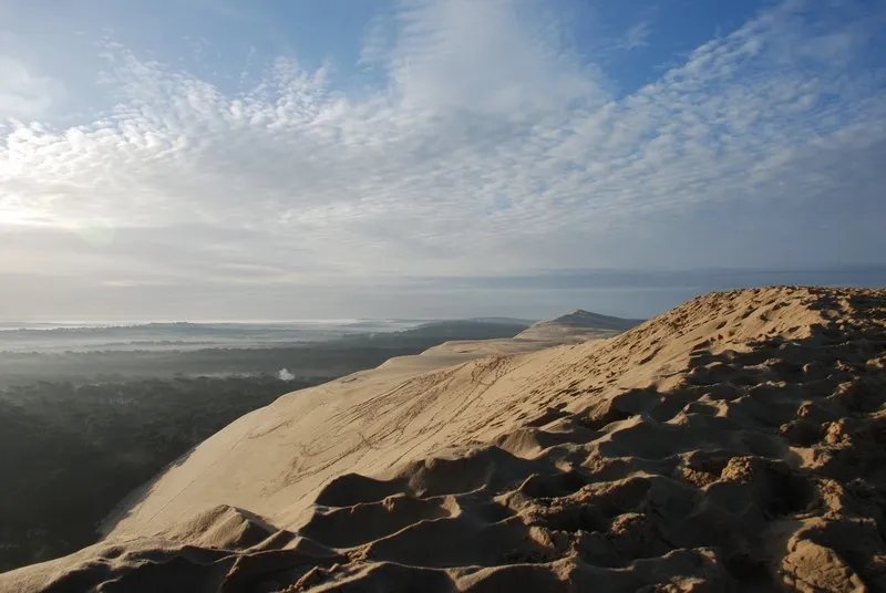 Panoramic view of Dune du Pilat showing its rippled sandy slopes, pine forest below, and Arcachon Basin in the background under a cloudy sky.