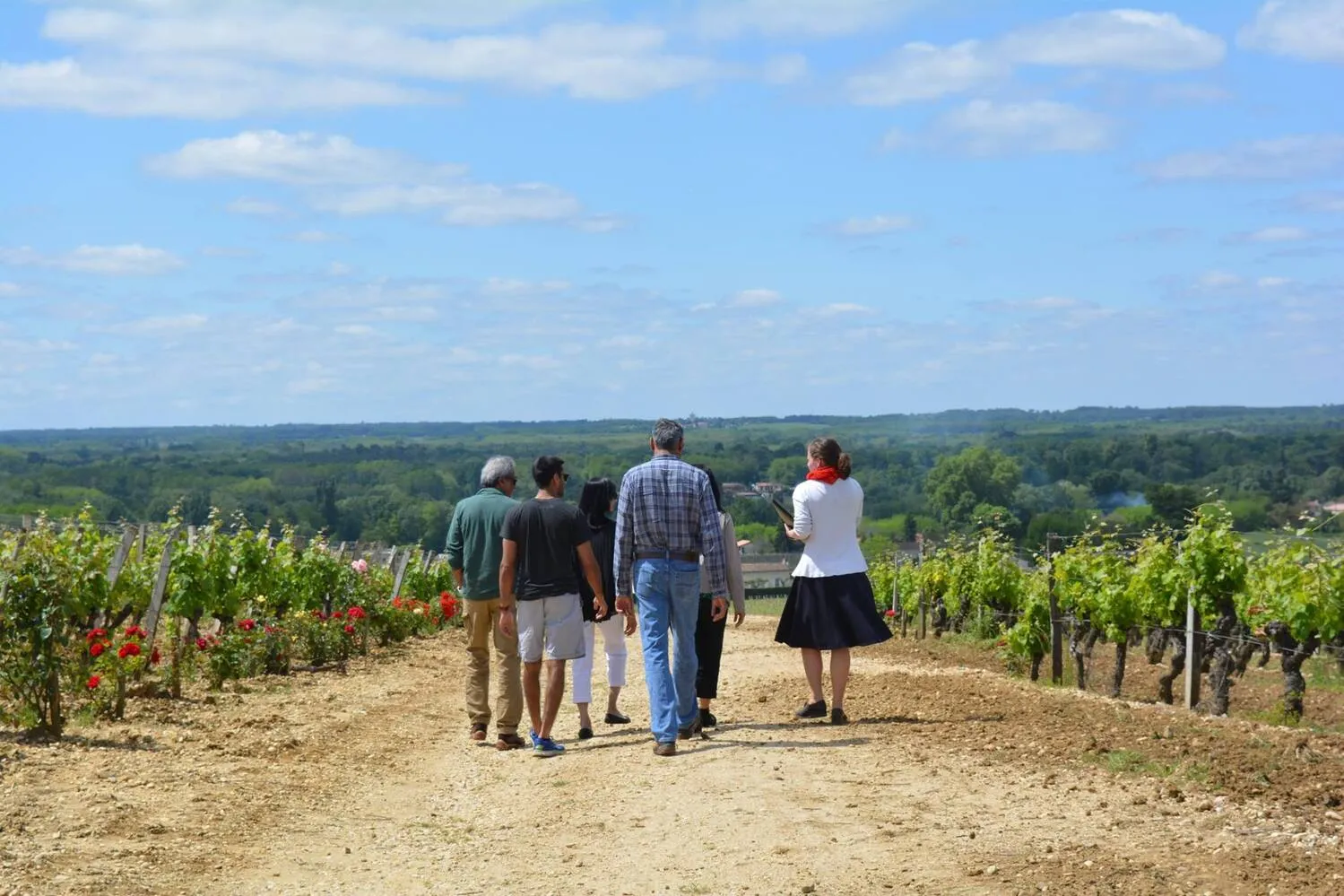 Group of visitors walking through the vineyards of Château de Rayne Vigneau in Bordeaux, overlooking rolling vineyard landscape