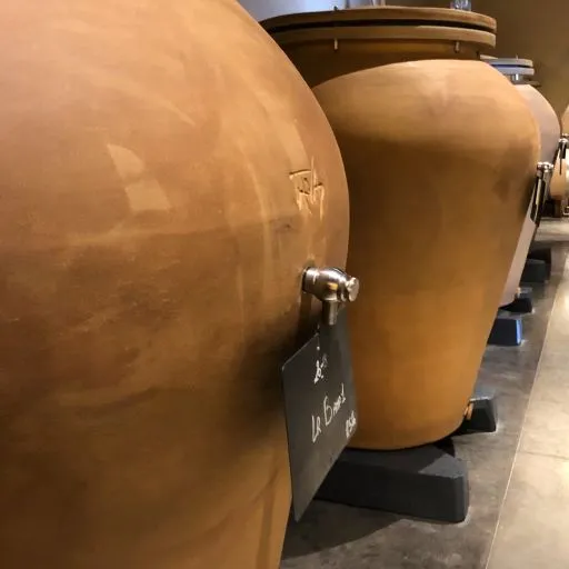 Row of golden wooden wine barrels lined up in a winery cellar at Château Larmande in Bordeaux