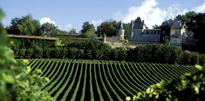 Fronsac vineyards with a medieval castle in the background under blue sky with white clouds