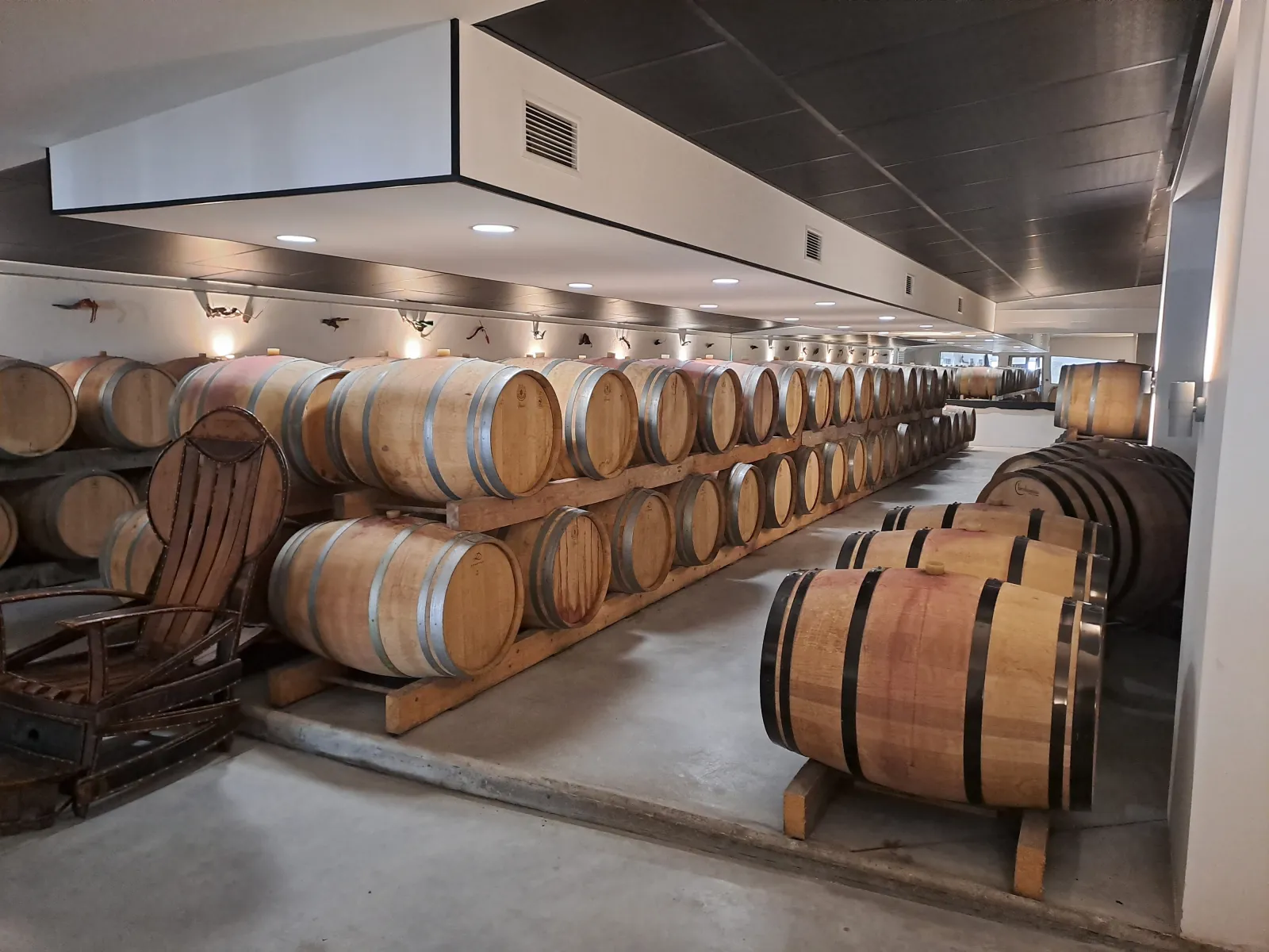 Wine cellar of Château Pierre de Montignac in Bordeaux featuring rows of wooden barrels arranged on racks beneath a modern ceiling with integrated lighting.