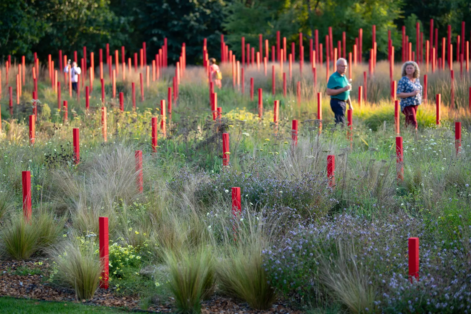 A landscaped garden at Château Larrivet Haut-Brion in Bordeaux featuring ornamental grasses, lavender and small blue flowers interspersed with geometric red stakes, with visitors visible in the background.