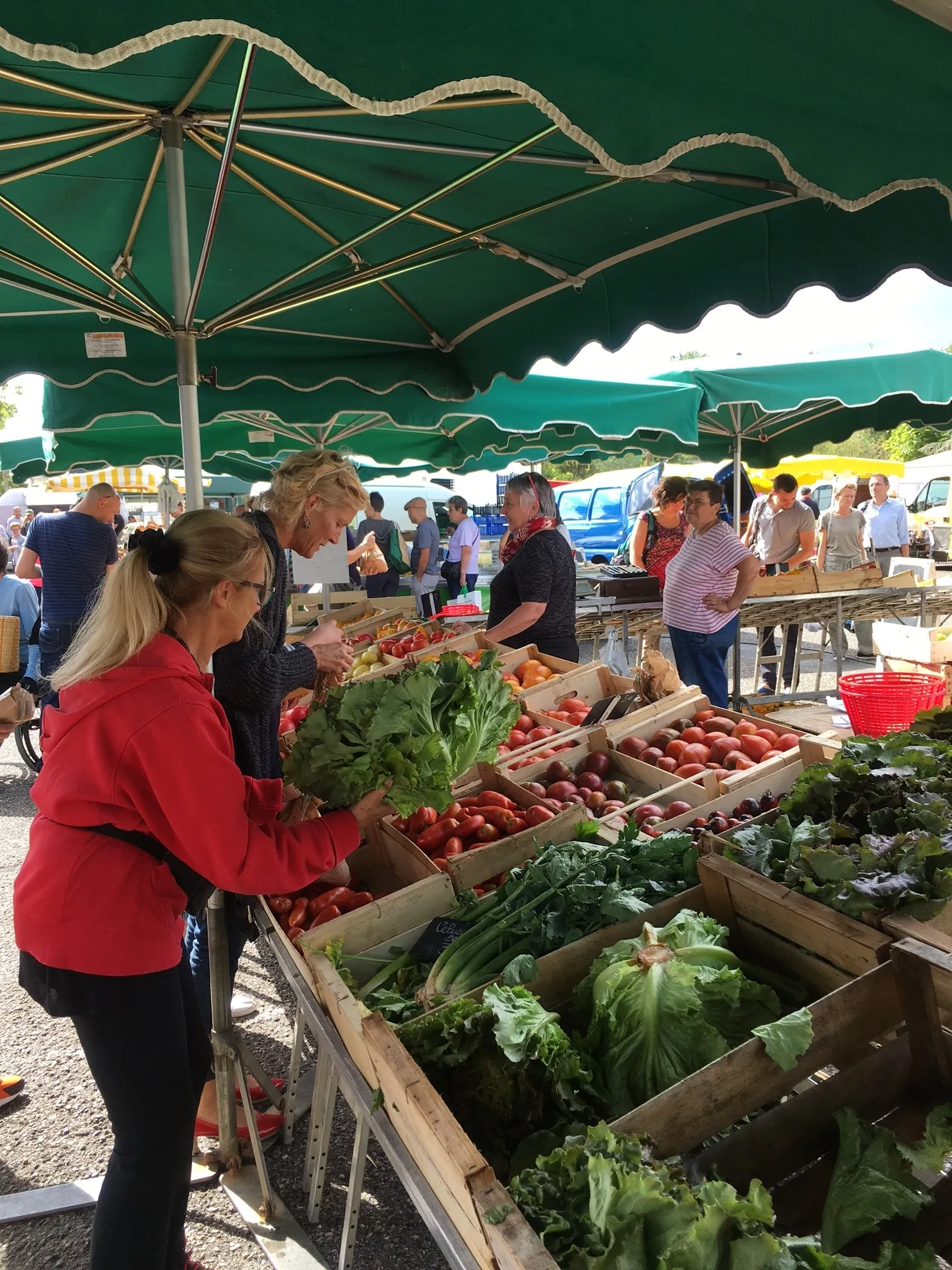 Talence Centre market in Bordeaux: fresh vegetable stand under green umbrellas with customers shopping for produce.