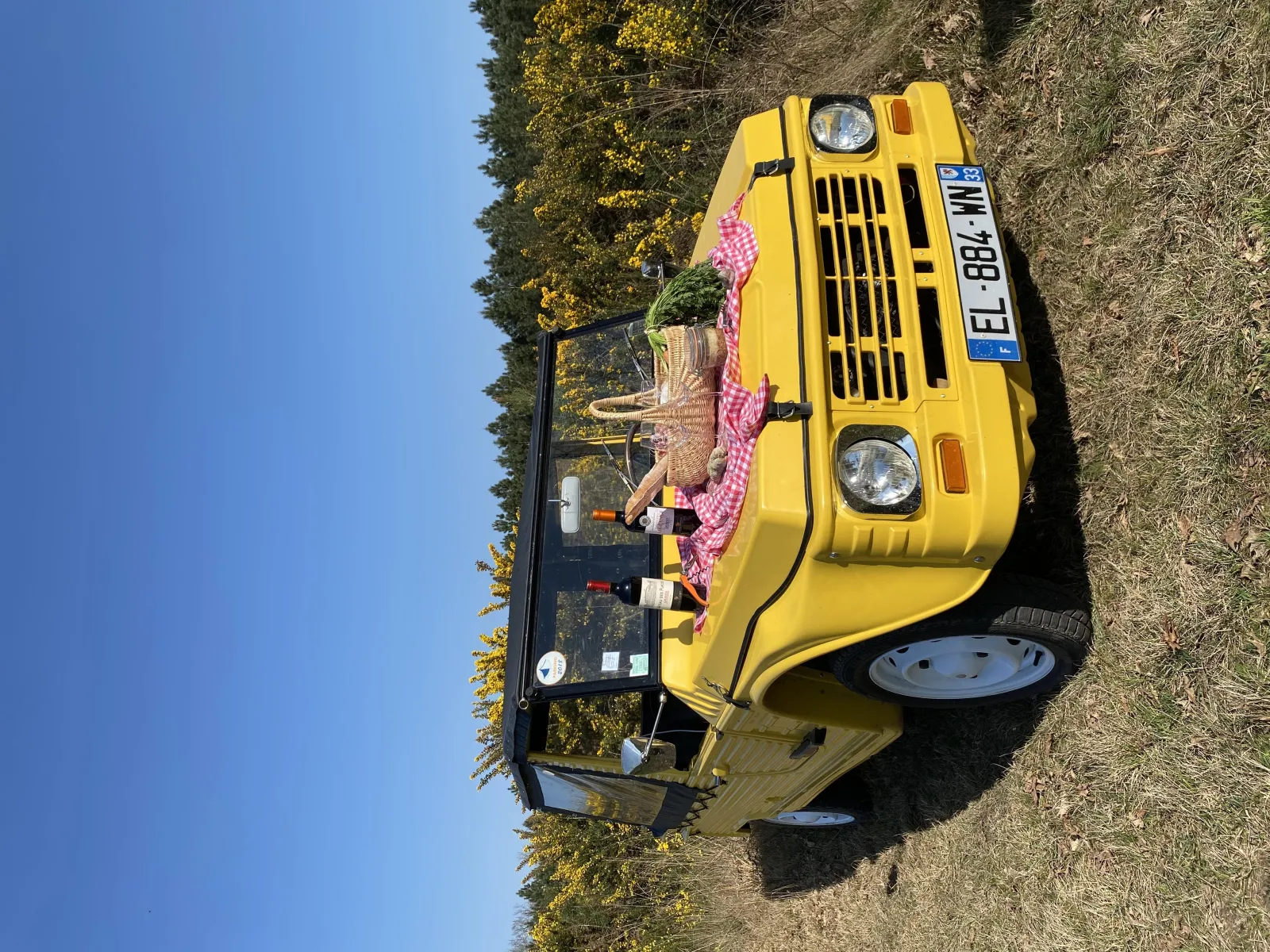 A yellow taxi with pink decoration and a dinosaur figurine on the roof, parked on a rural road near Bordeaux, with trees in the background.