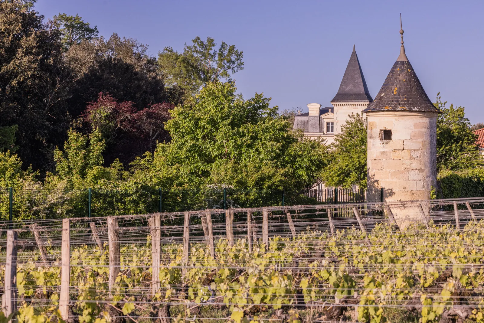 Château Sénéjac with its distinctive conical towers surrounded by trellised vineyards and lush vegetation in the Bordeaux wine region.