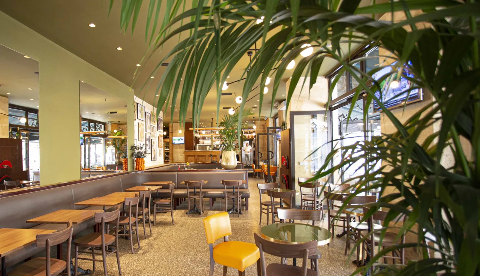 Modern interior of Cajou Café in Bordeaux featuring wooden tables, yellow and gray chairs, hanging plants, bright counter, and large windows overlooking the street