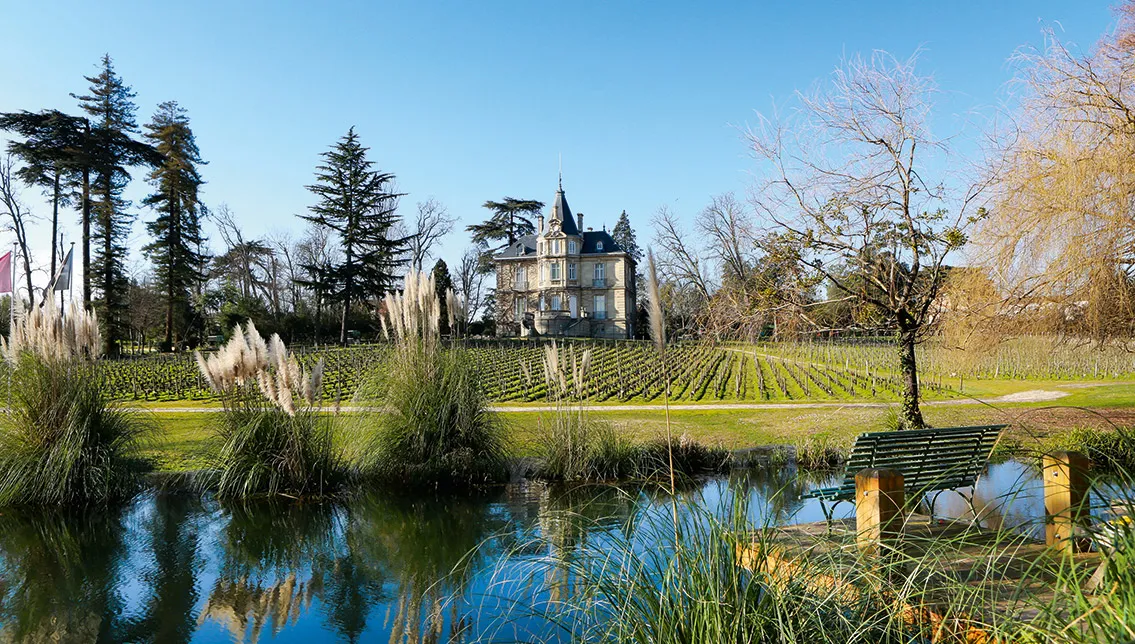 Château les Carmes Haut-Brion in Bordeaux featuring manicured vineyards in rows, a yellow wooden bridge over a canal, golden autumn trees, and clear blue sky
