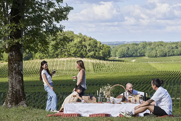 Group of people having a picnic under a large tree overlooking Bordeaux vineyards in the background at Château Plain Point