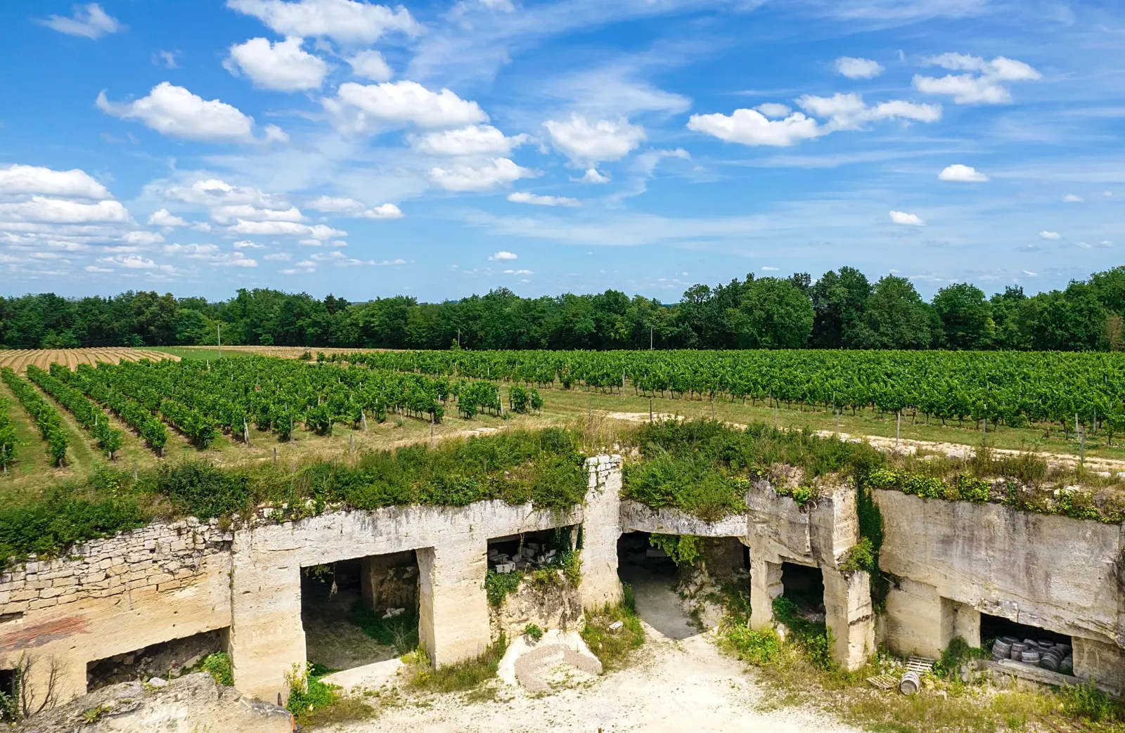 Ruins of Château de Roques near Bordeaux with vineyards stretching across the landscape under a blue sky