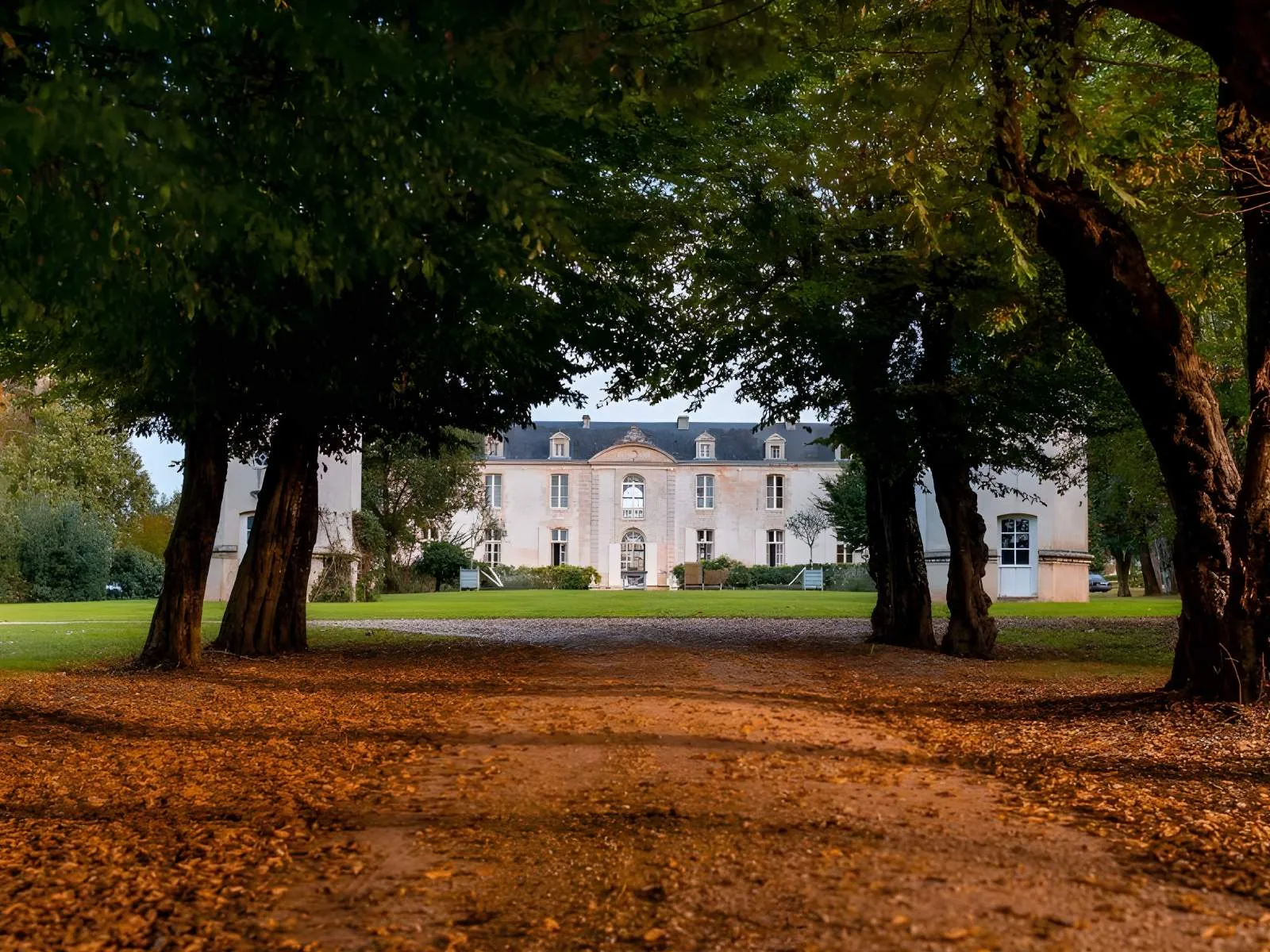 View of Château de Reignac near Bordeaux framed by ancient trees, showcasing its pale pink neoclassical facade and slate-blue mansard roof beyond a green lawn and earthen driveway.
