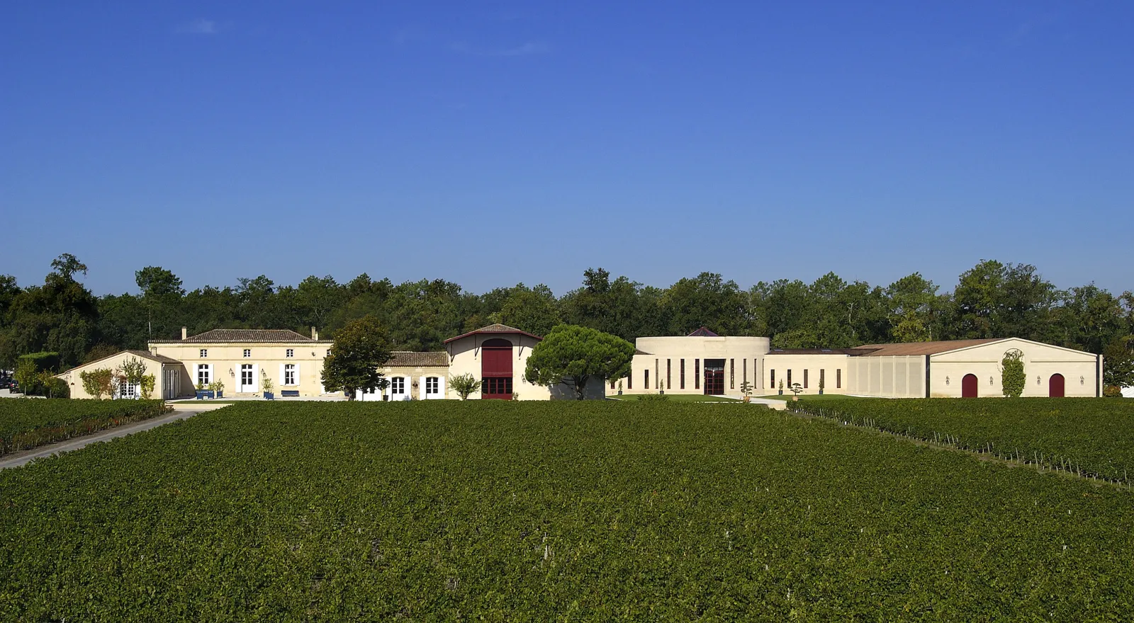 Panoramic view of Domaine de Chevalier near Bordeaux: cream and beige buildings with red doors, lush green vineyards in foreground, tree line in background, clear blue sky.