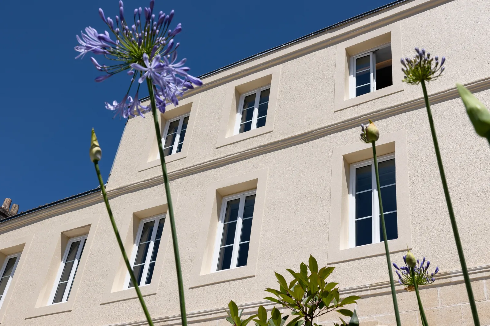 White hotel facade with regularly spaced windows, purple agapanthus flowers in the foreground and clear blue sky in Bordeaux