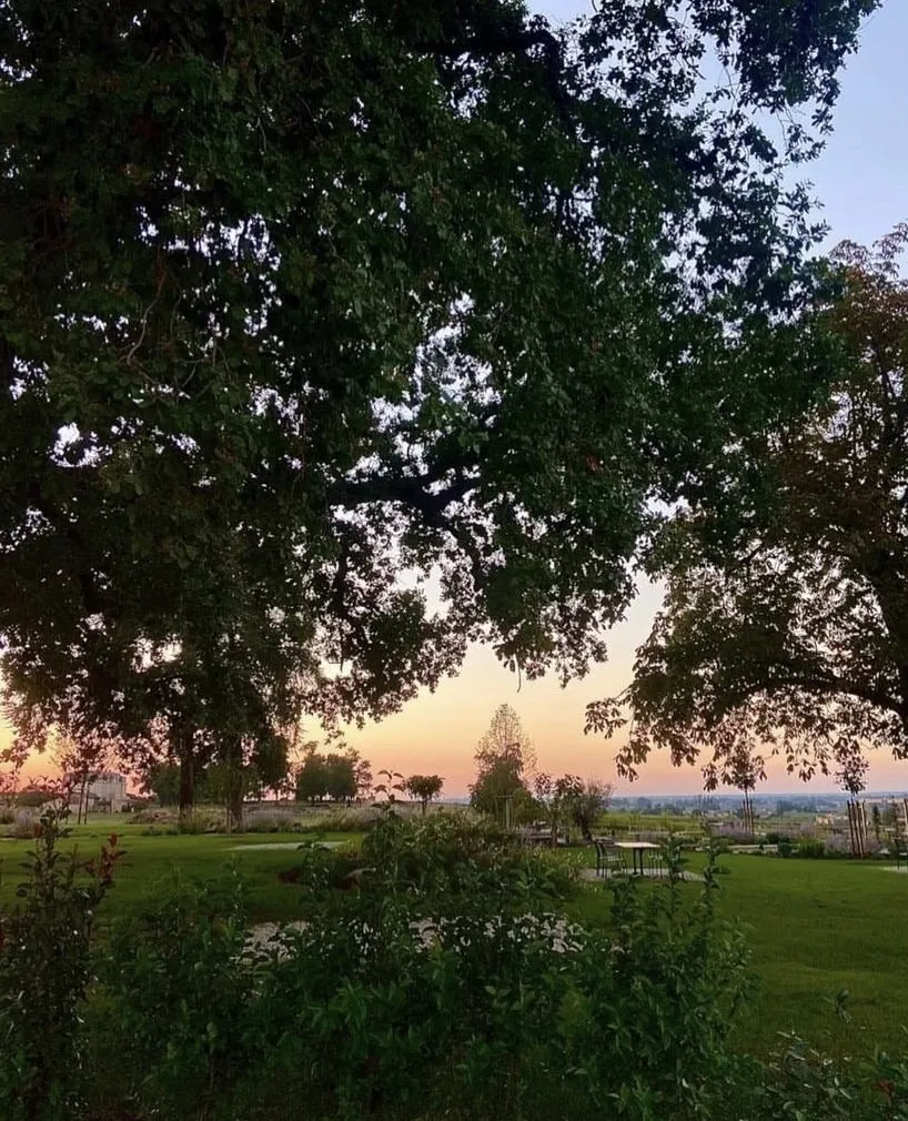 View of the Jardin à Petit Faurie de Soutard in Bordeaux at sunset, featuring large leafy trees in the foreground, a green lawn, and the city skyline in the background.