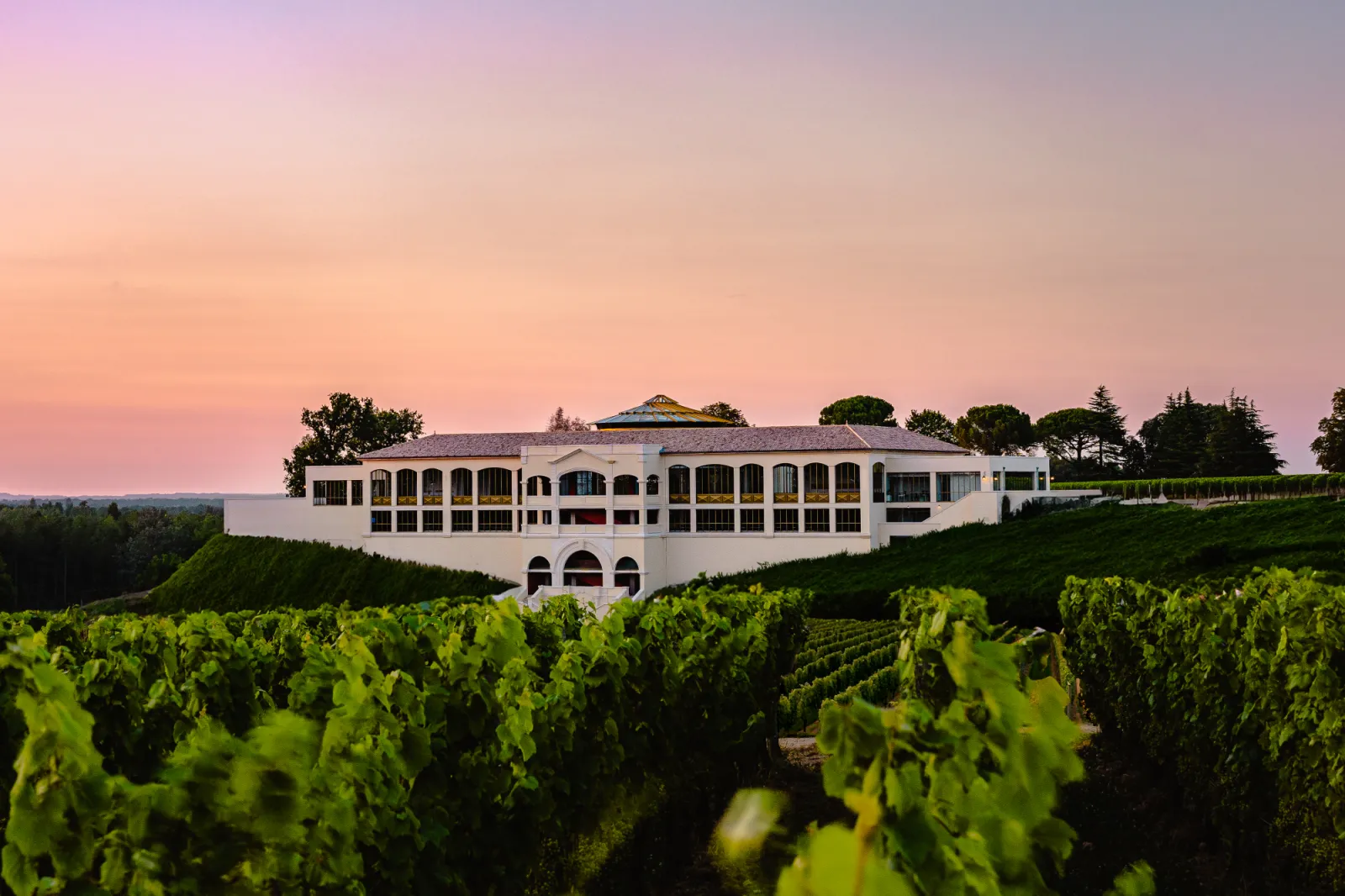 Château Plain Point in Bordeaux, modern white building overlooking vineyards at sunset with pink and purple sky